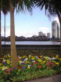 Cremorne Gardens view of the river