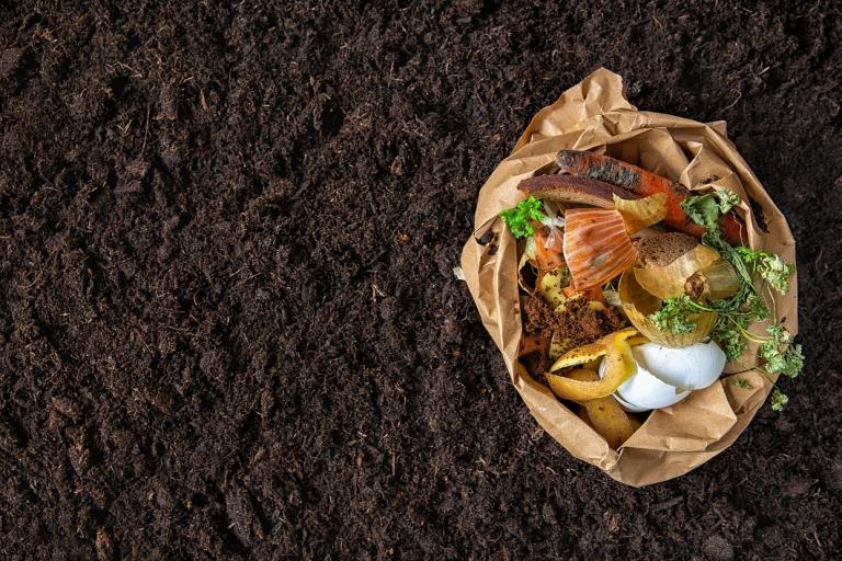 Bag of food waste on soil 
