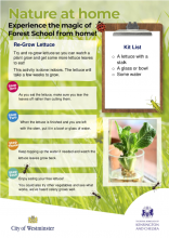 Re-Grow Lettuce - Nature at Home HP